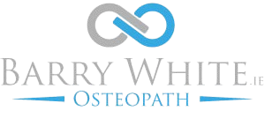 barrywhite.ie-logo-no-bg